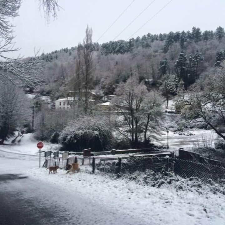 A Casela Casa Da Carme 빌라 외부 사진